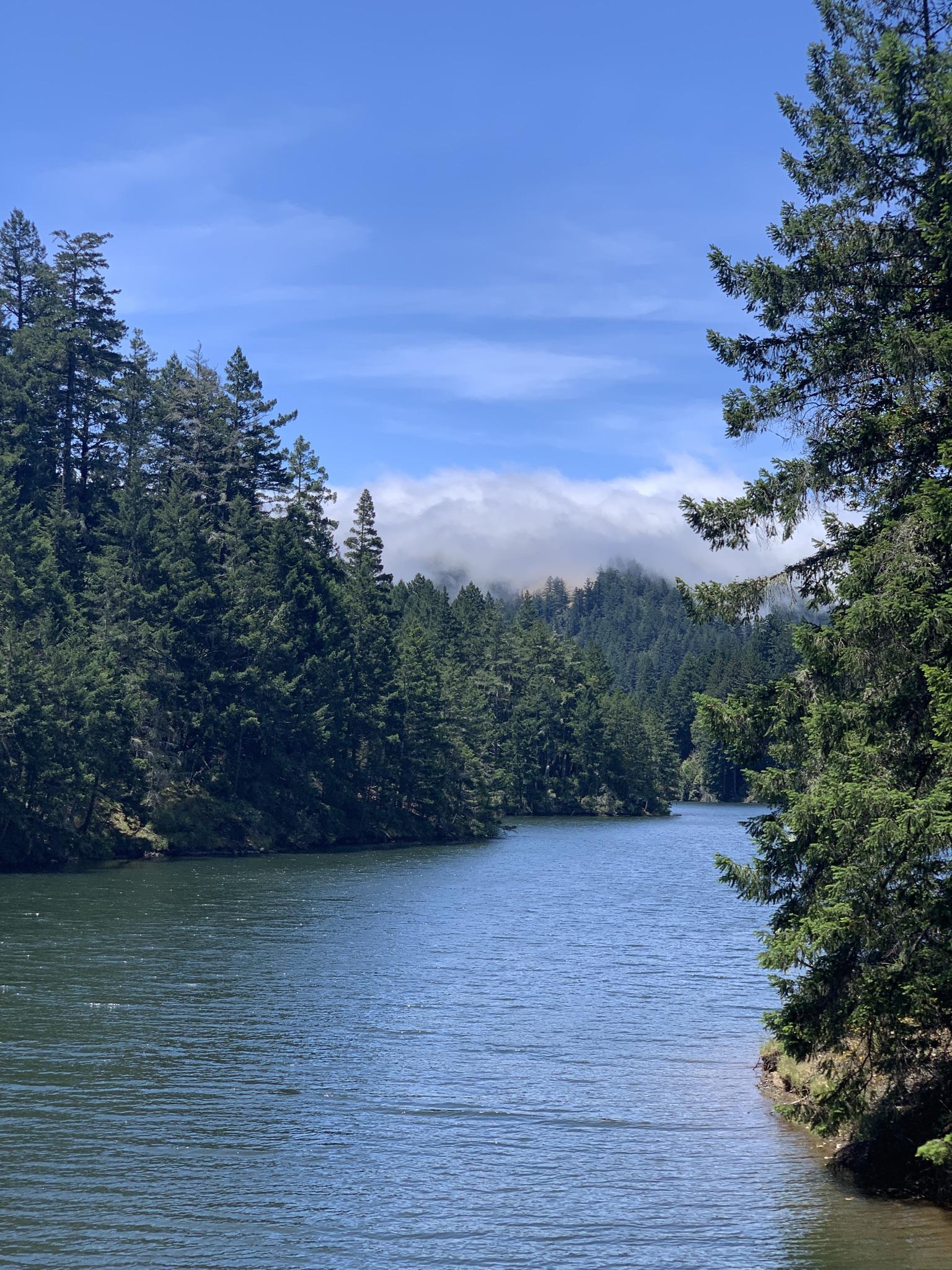 Winding waterway flanked by tall evergreen forests, with distant misty clouds.