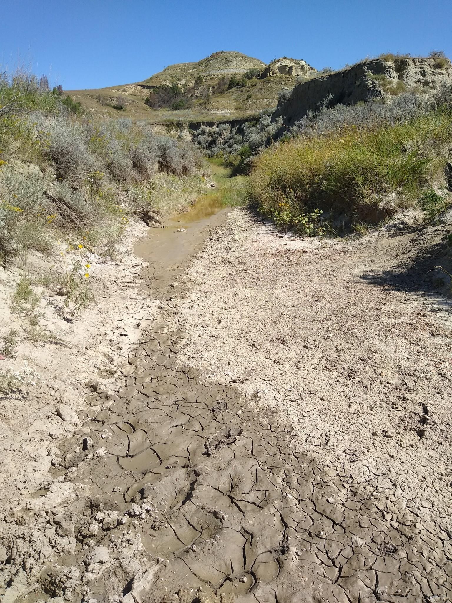 Dry, cracked mud path through an arid valley under a clear sky. - Lower Paddock Creek Trail