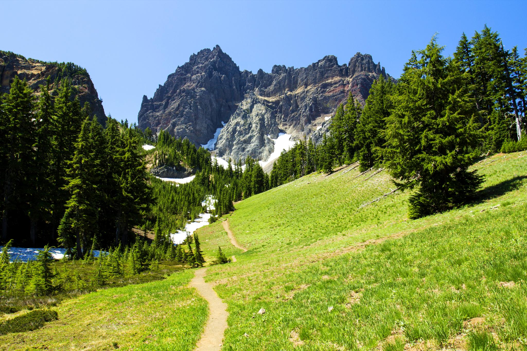 A winding dirt trail ascends a green slope towards rocky mountains and pine trees.