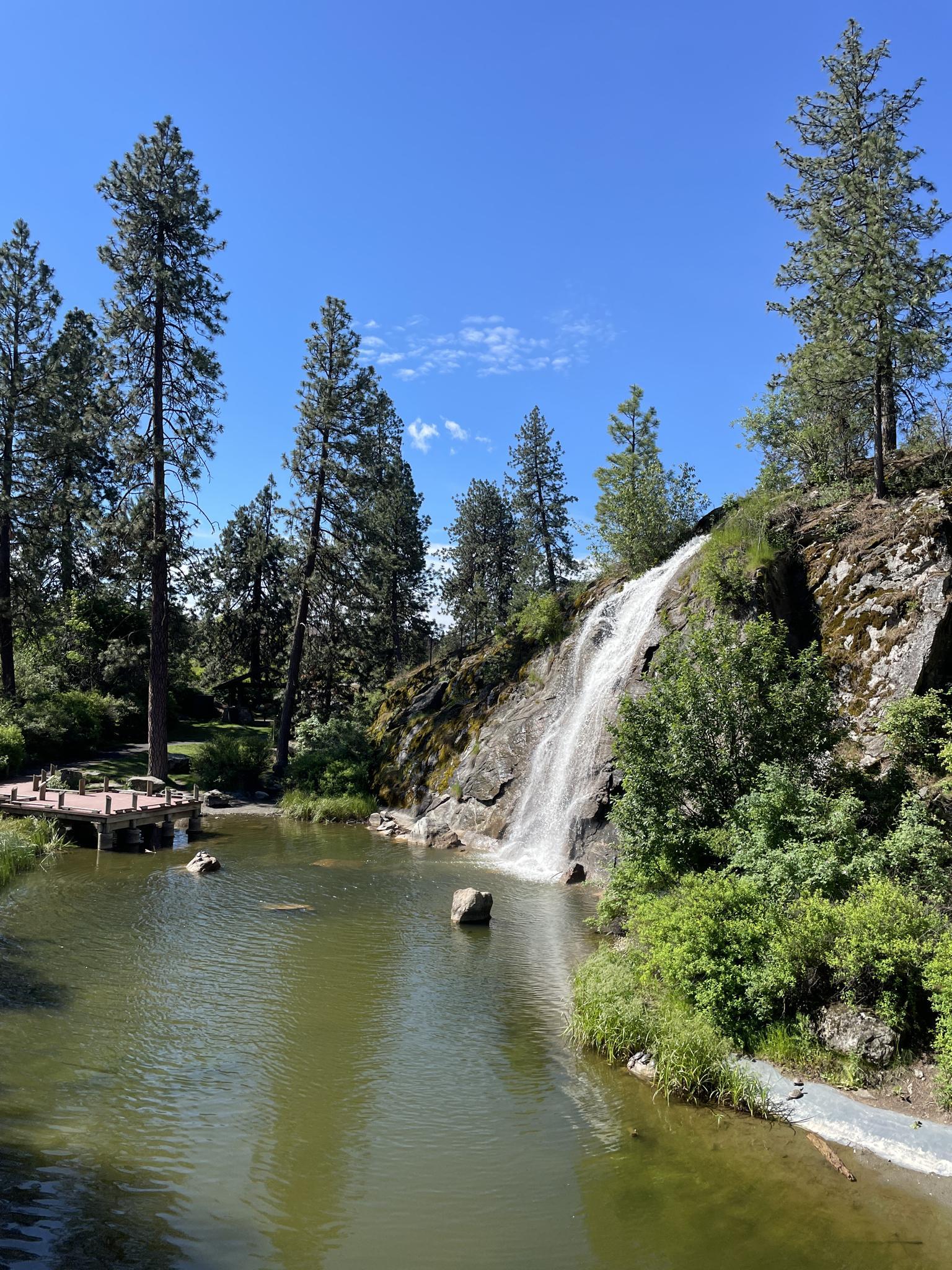 Waterfall flows into a pond, surrounded by pine trees under a clear blue sky.