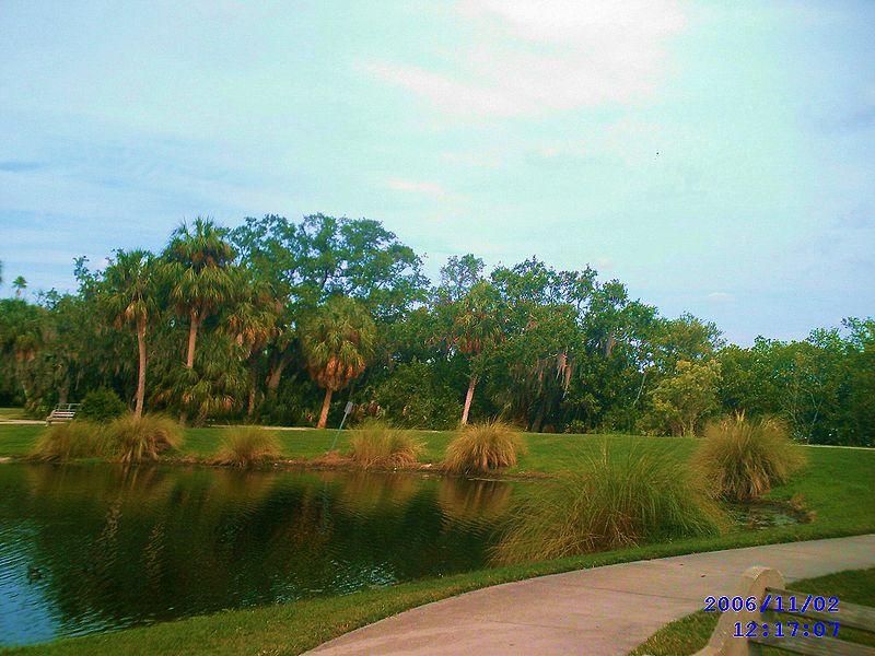 A pond with grassy banks, surrounded by palm trees and a paved path.