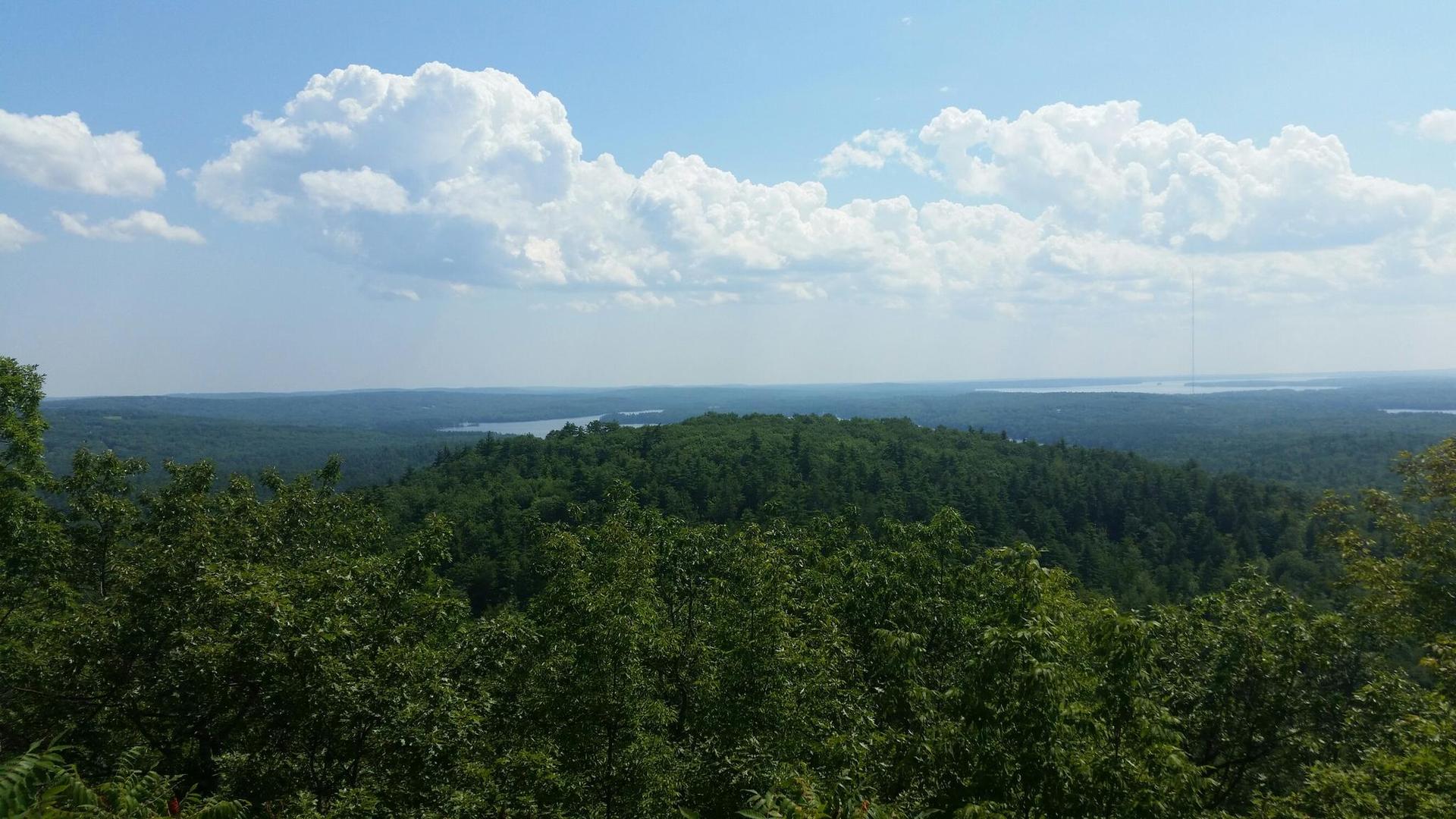 Panoramic view of a dense green forest and distant water under a cloudy sky.