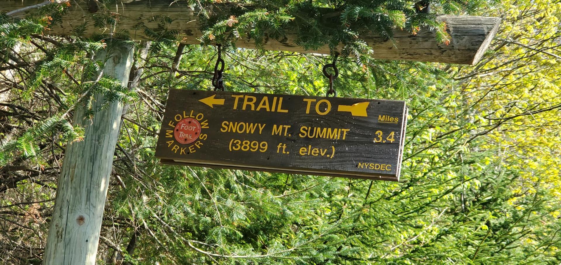 Wooden trail sign with arrows hanging from a wooden post in a forest.