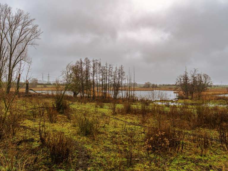 Schönerlinder Teiche Wanderungen und Rundwege komoot