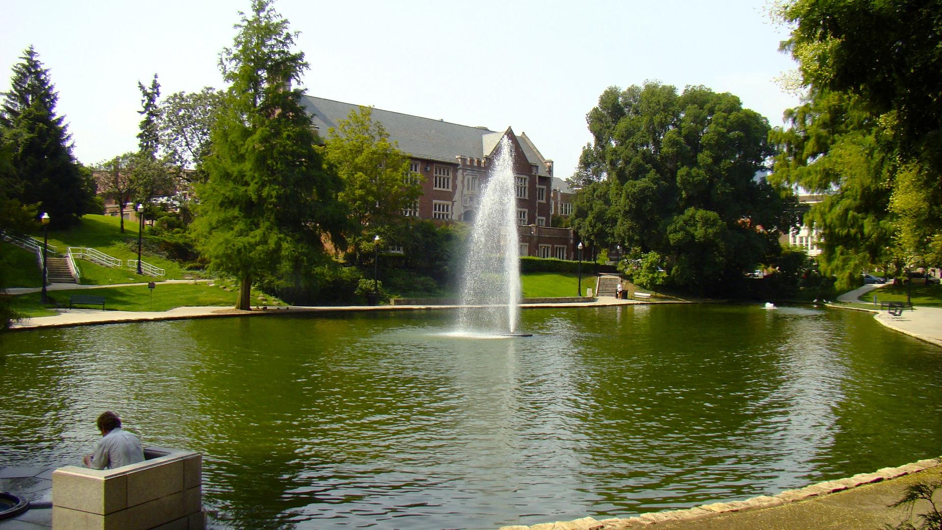 Sunny pond with a fountain, person sitting, and large building in background.