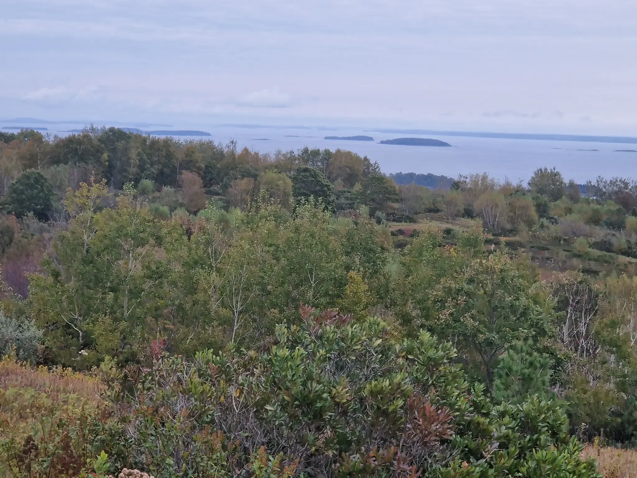 Overcast view of green forests, distant water, and small islands. - Woods Loop Trail