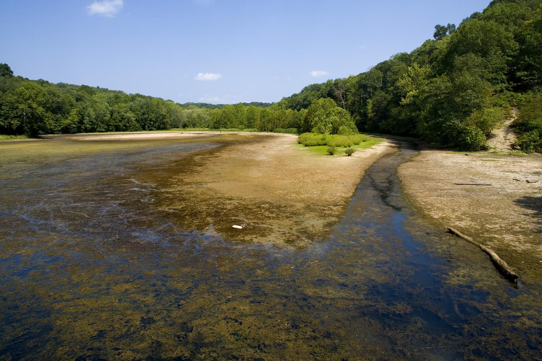 A partially dried riverbed with shallow water, surrounded by green trees under a sunny sky.