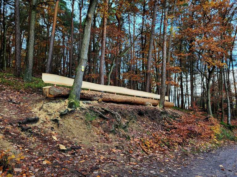 Viewing lodge – Adlerbogen loop from Dannenfels | hike | Komoot