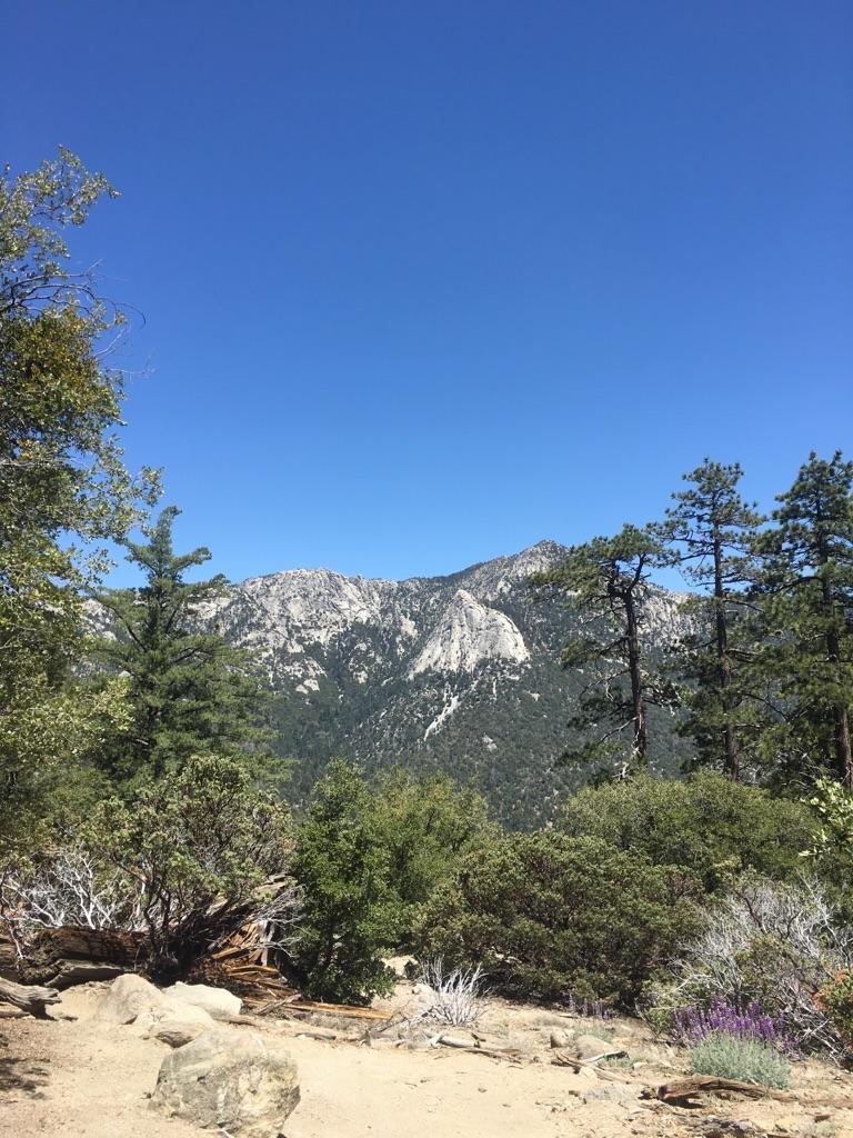 Distant mountains visible through green trees and bushes under a clear sky.