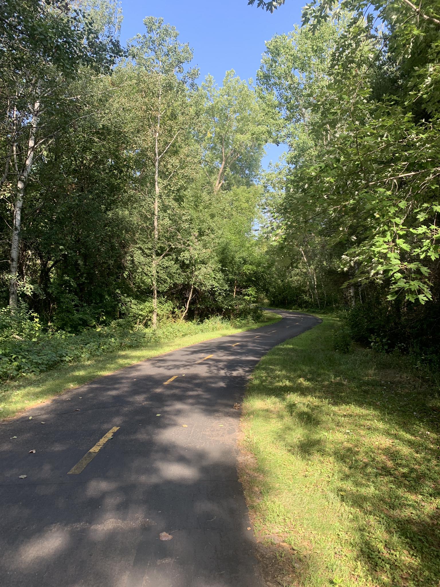 Paved path winds through a lush green forest on a sunny day.