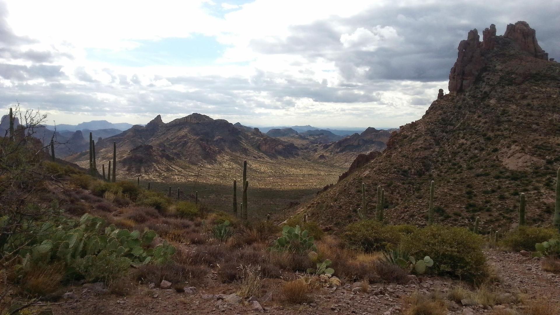 Expansive desert valley with rugged mountains and cacti under a cloudy sky.