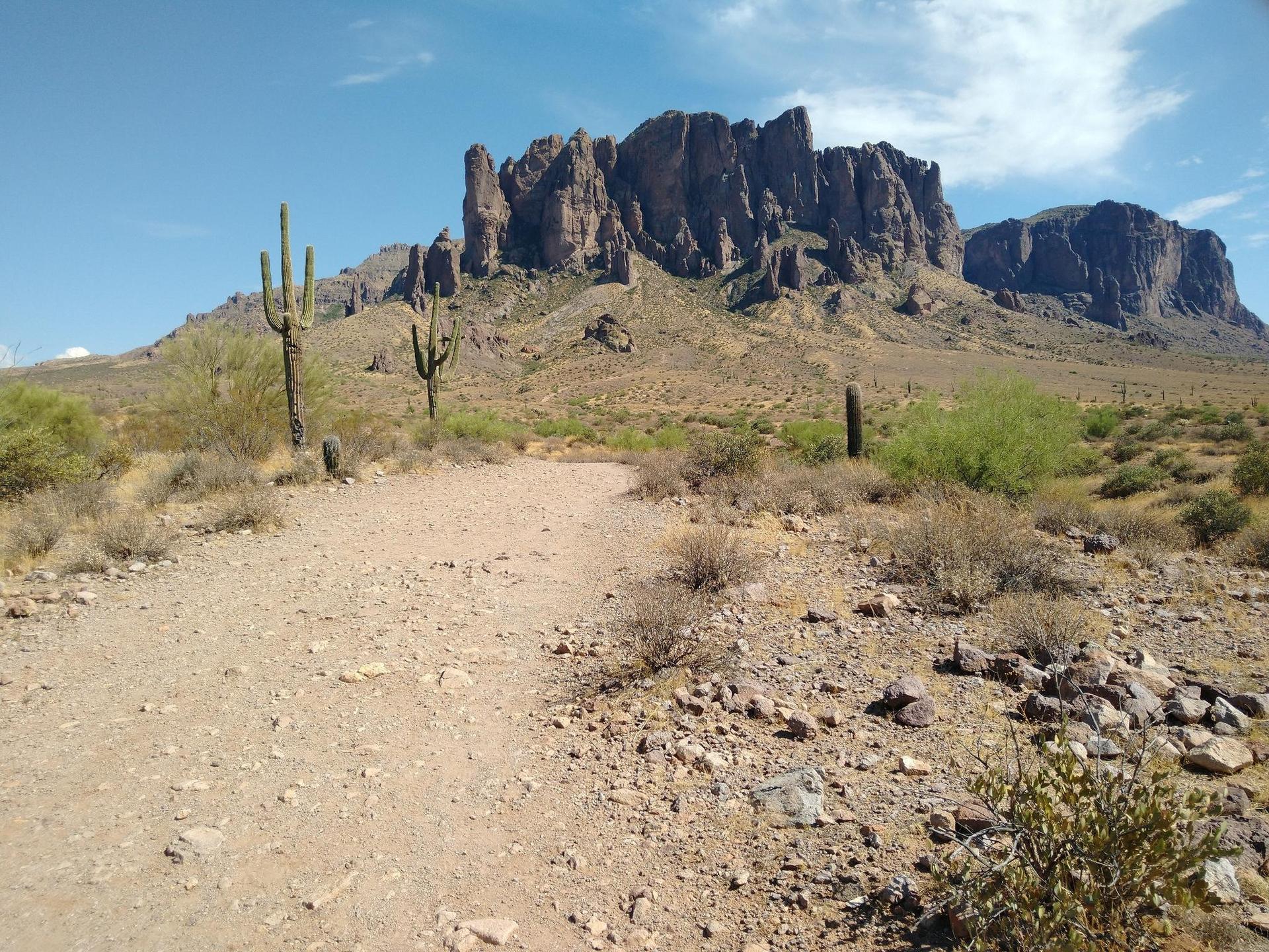 Desert trail leads to rugged mountains under clear sky with saguaro cacti.