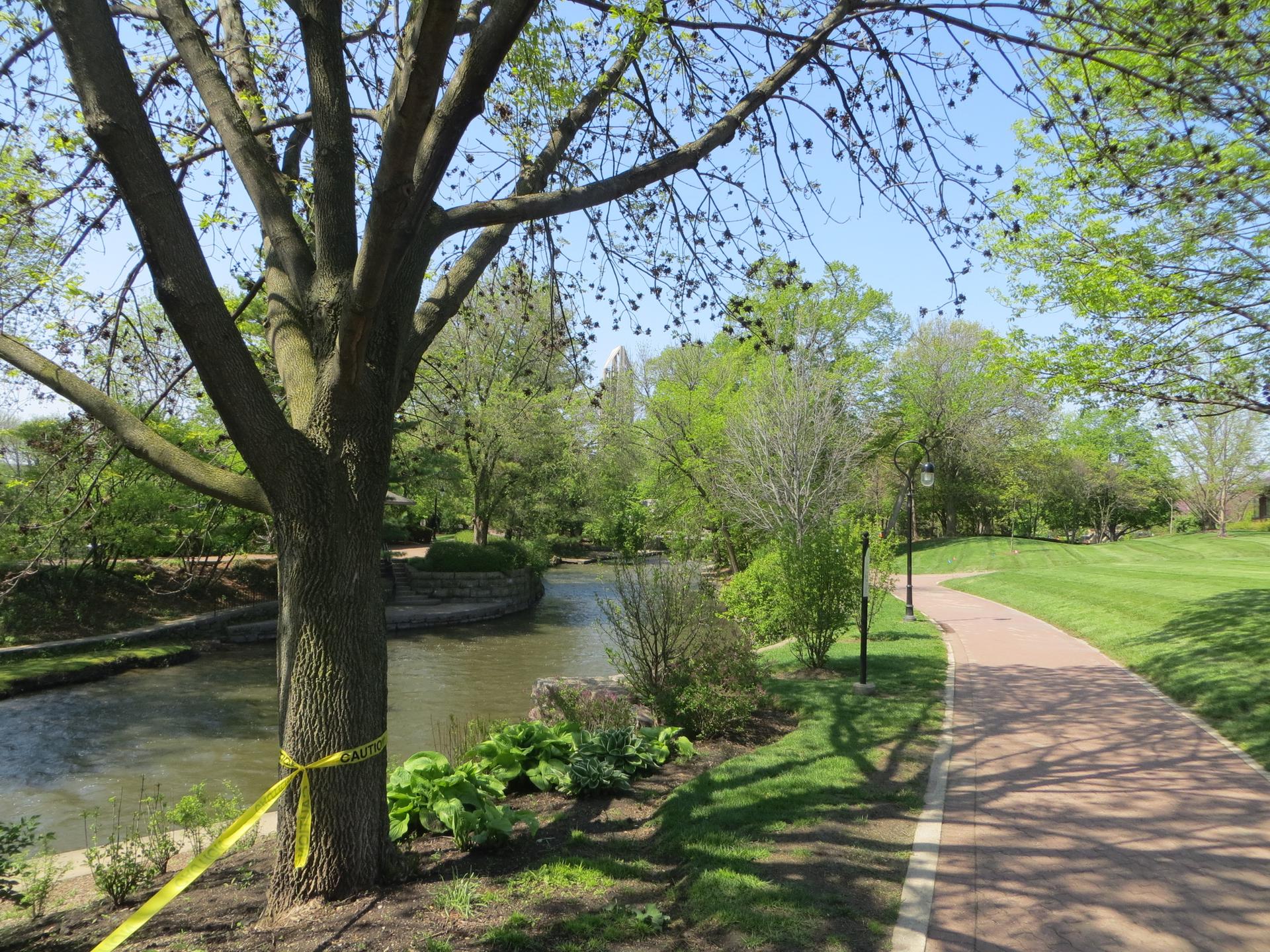 Paved path alongside a winding river with green trees on a sunny day.