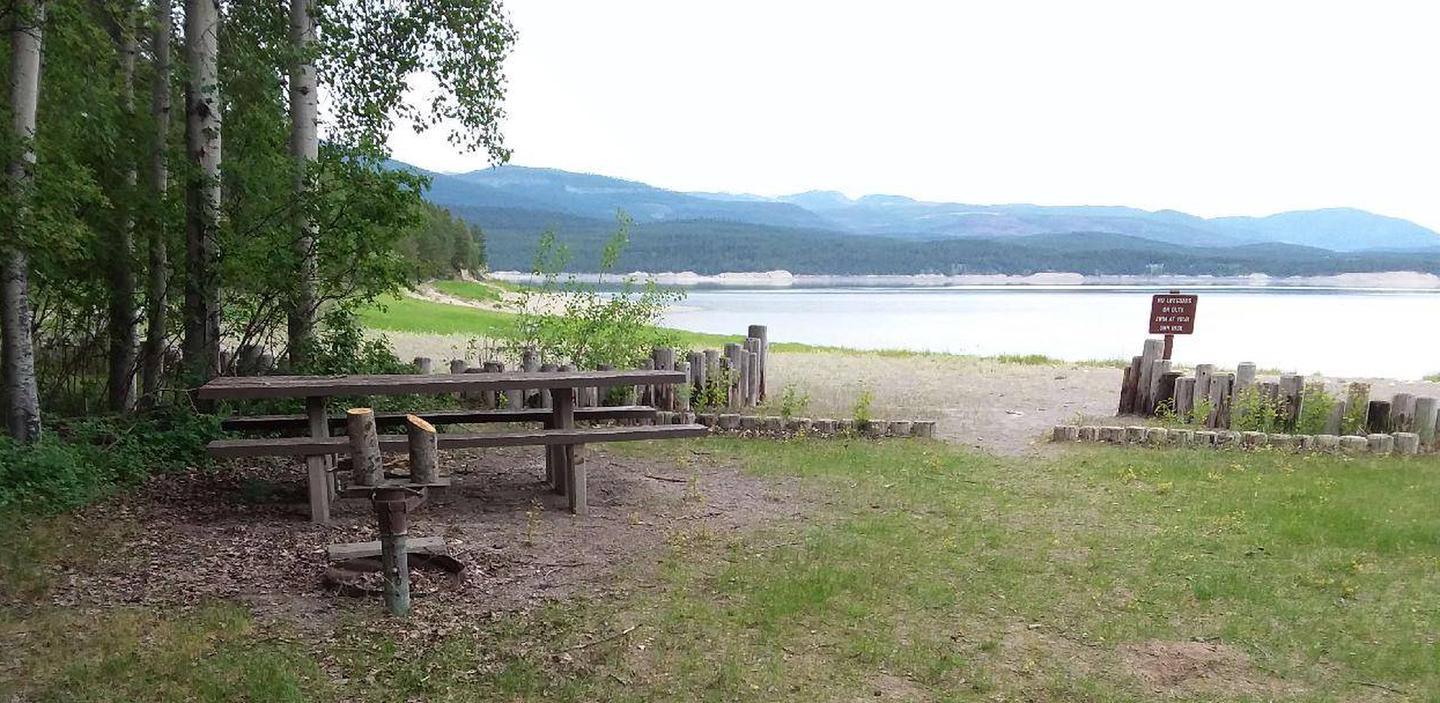 Picnic table and fire pit on a grassy beach by a lake.