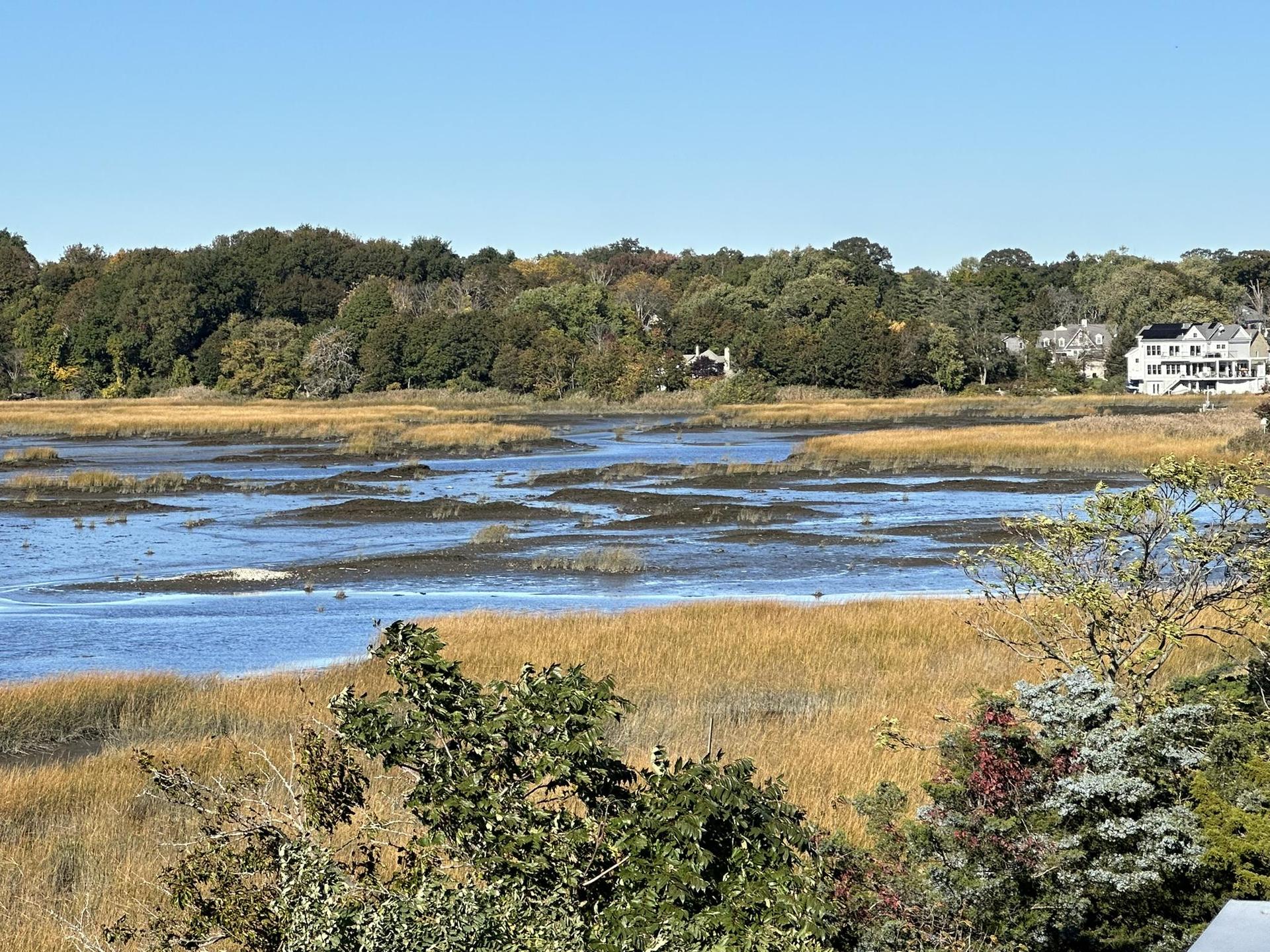 Sunny view of a wide marshland with water channels, trees, and distant houses.