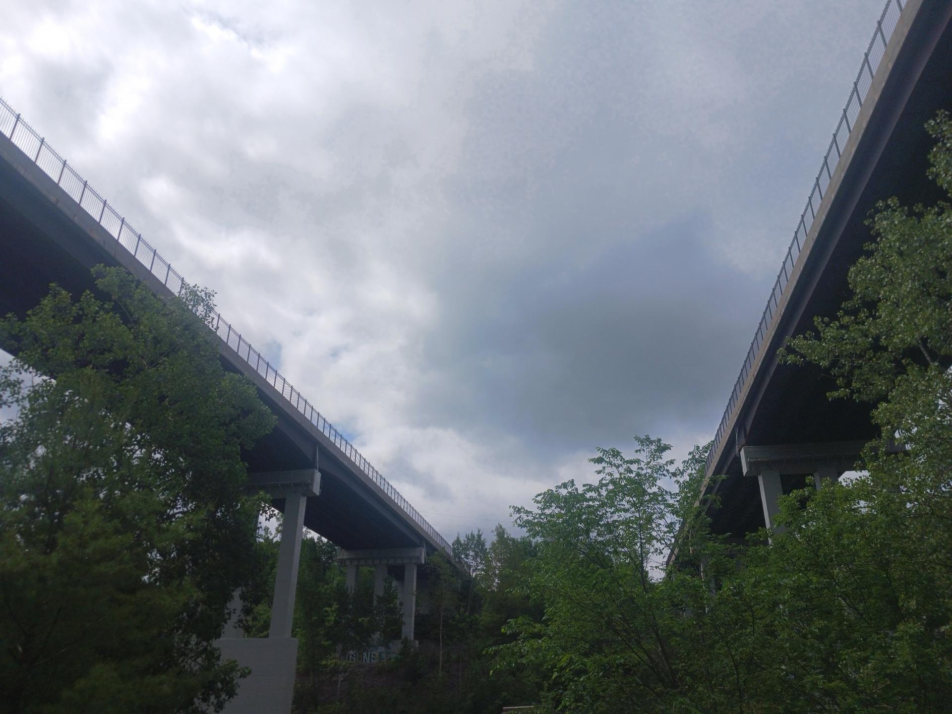 Two large concrete bridges spanning above green trees under a cloudy sky.