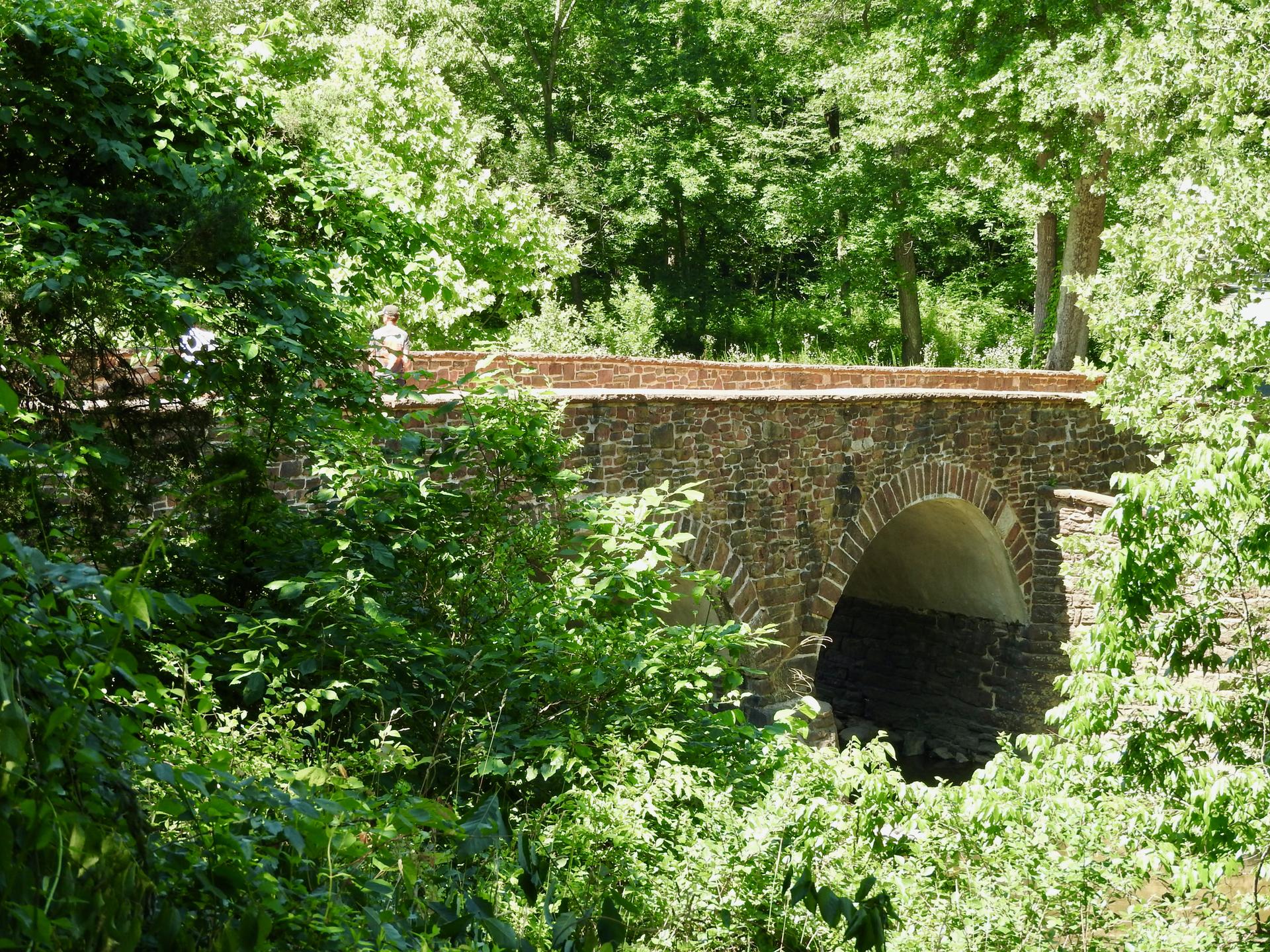 A stone arch bridge surrounded by dense green foliage, person on top.