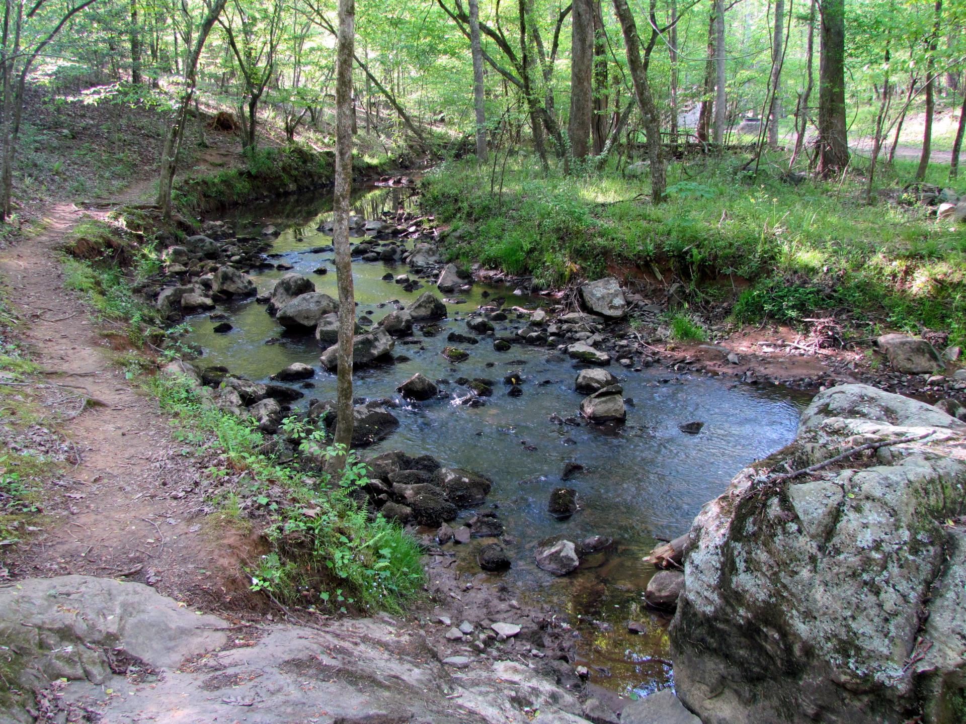 A rocky stream flows through a sunlit forest with a dirt path.