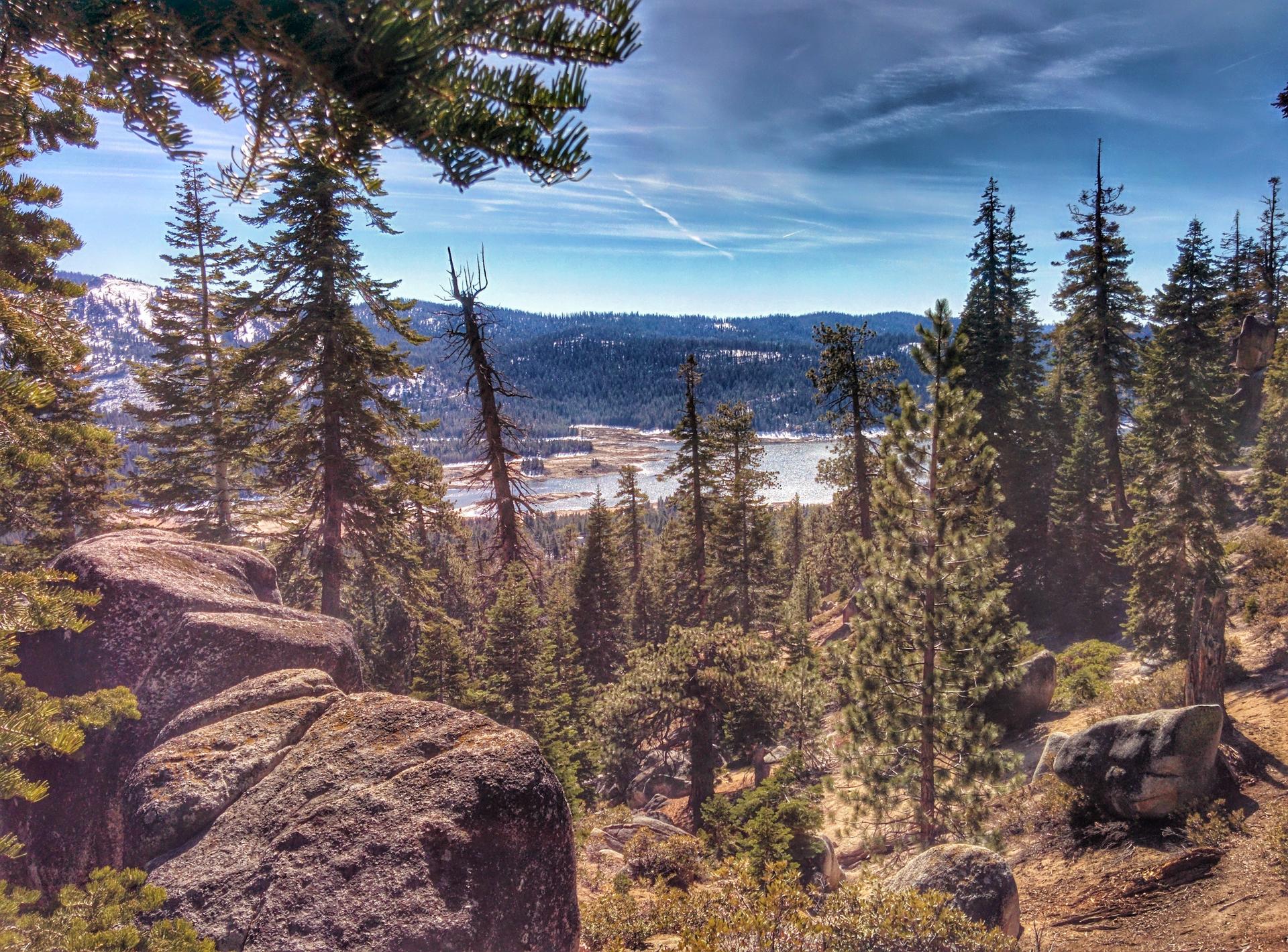 Panoramic view of a pine forest, rocky foreground, and distant lake under blue sky.