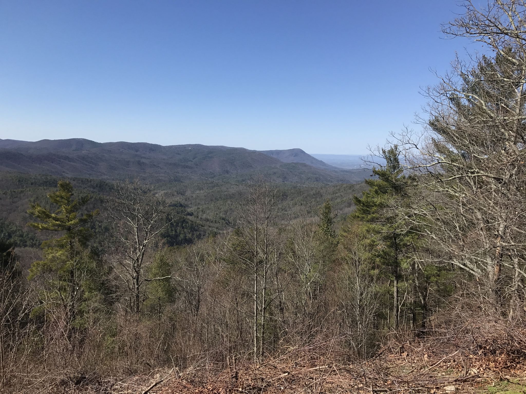 Panoramic view of forested mountains under a bright, clear blue sky. - Barnes Creek Falls – Potatopatch Road Overlook loop from Bear Creek Campground