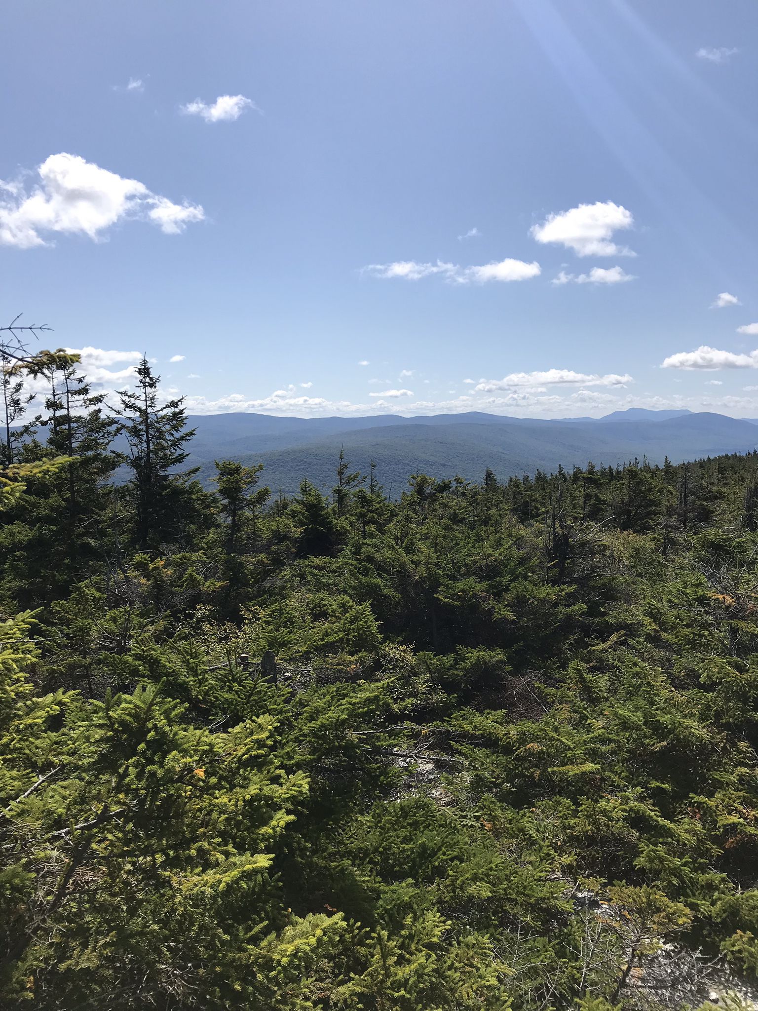 Vast mountain range covered in evergreen trees under a bright, cloudy sky. - Bald Mountain Trail