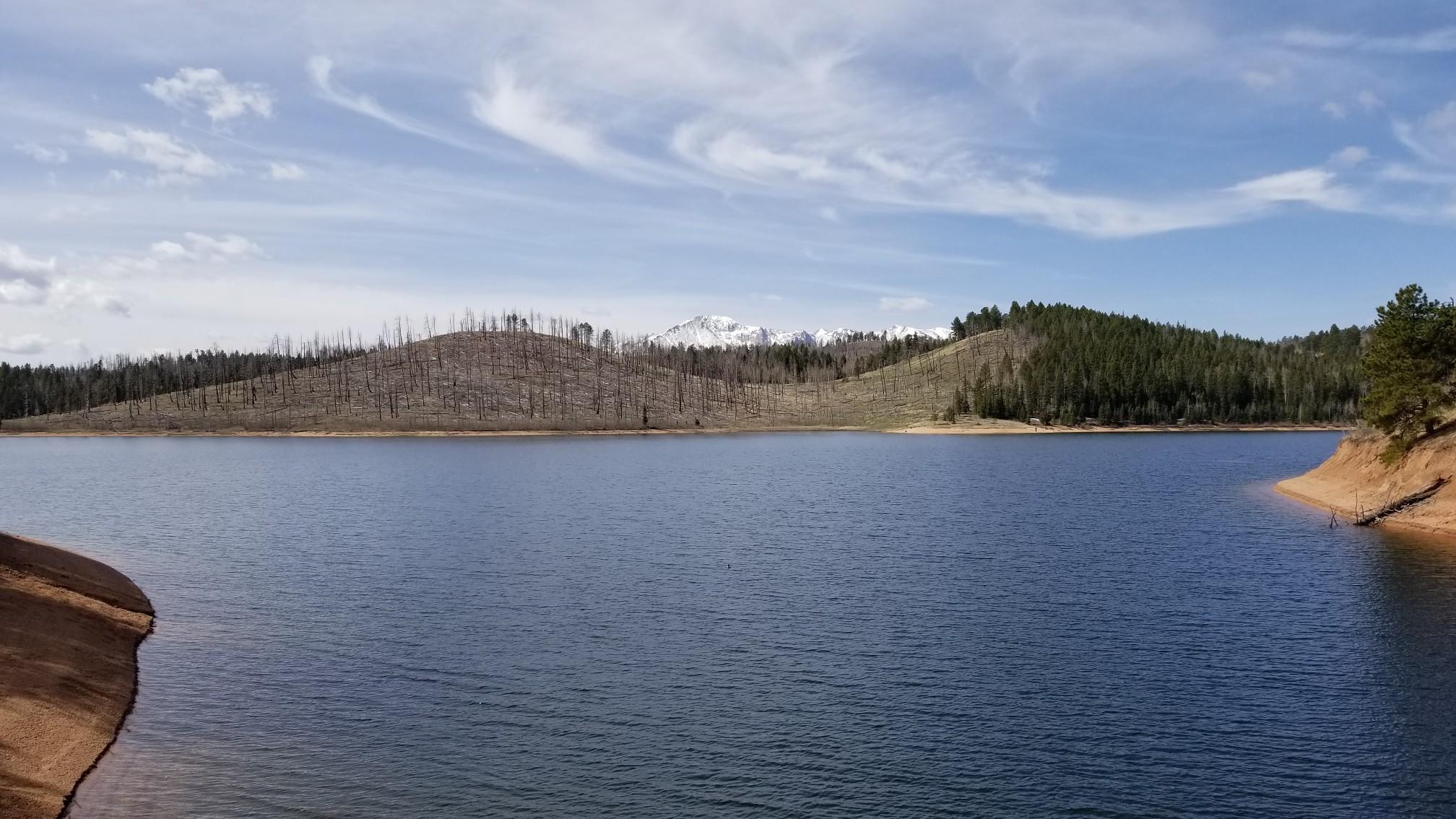 Wide lake view with hills of burnt trees and distant snow-capped mountains.