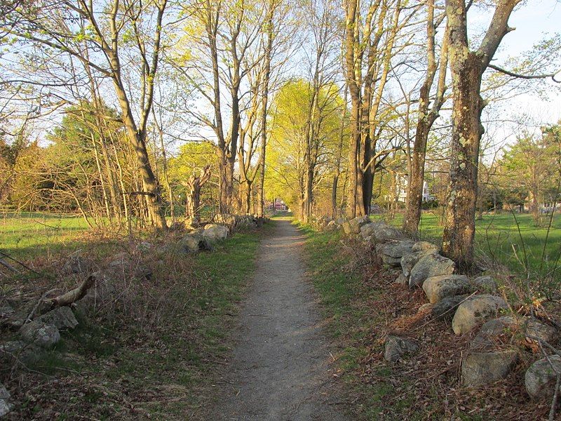 Dirt path between stone walls and trees with new spring leaves. - Willard Woods