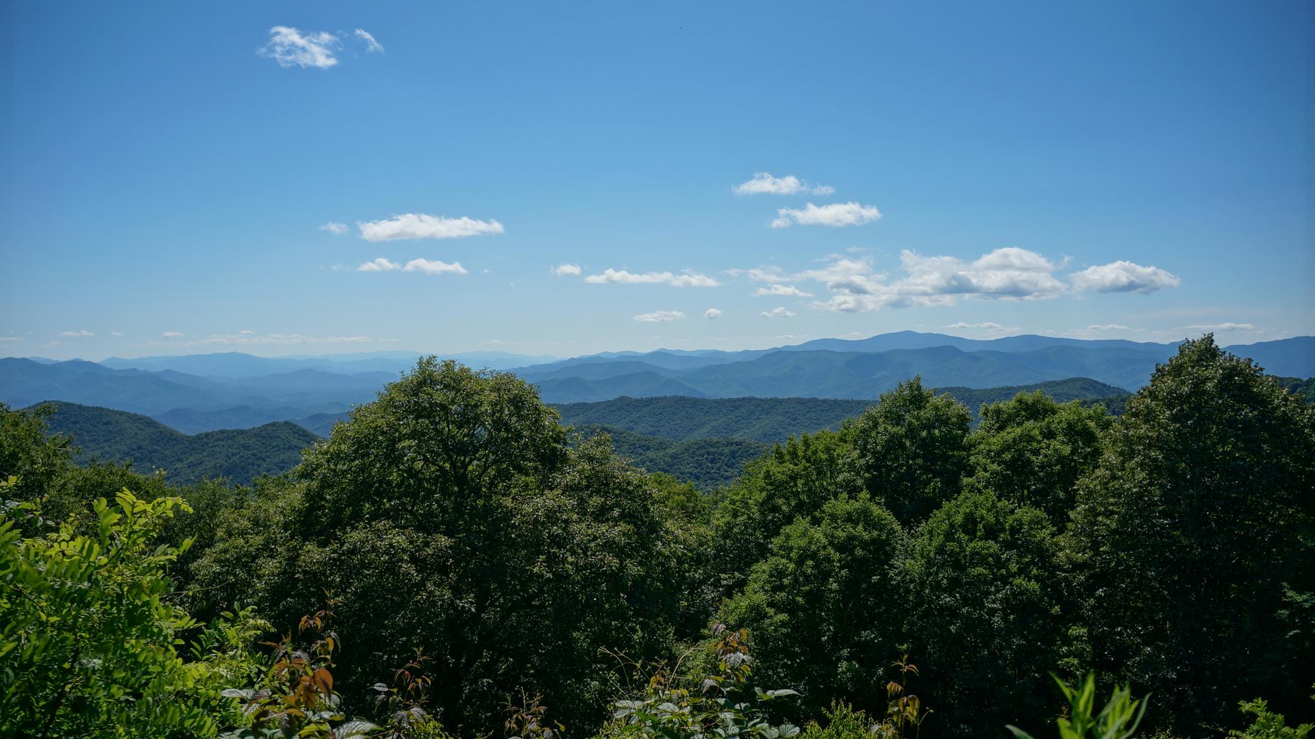 Vast mountain landscape with lush green trees under a bright blue sky.