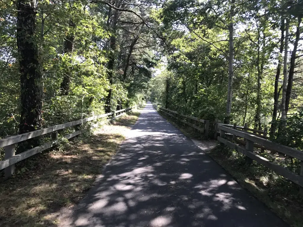 A paved path with wooden fences on both sides leads through a sunny forest.