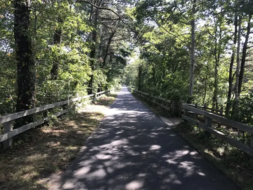 A paved path with wooden fences on both sides leads through a sunny forest. - Cape Cod & Old Colony Rail Trails: Chatham Loop
