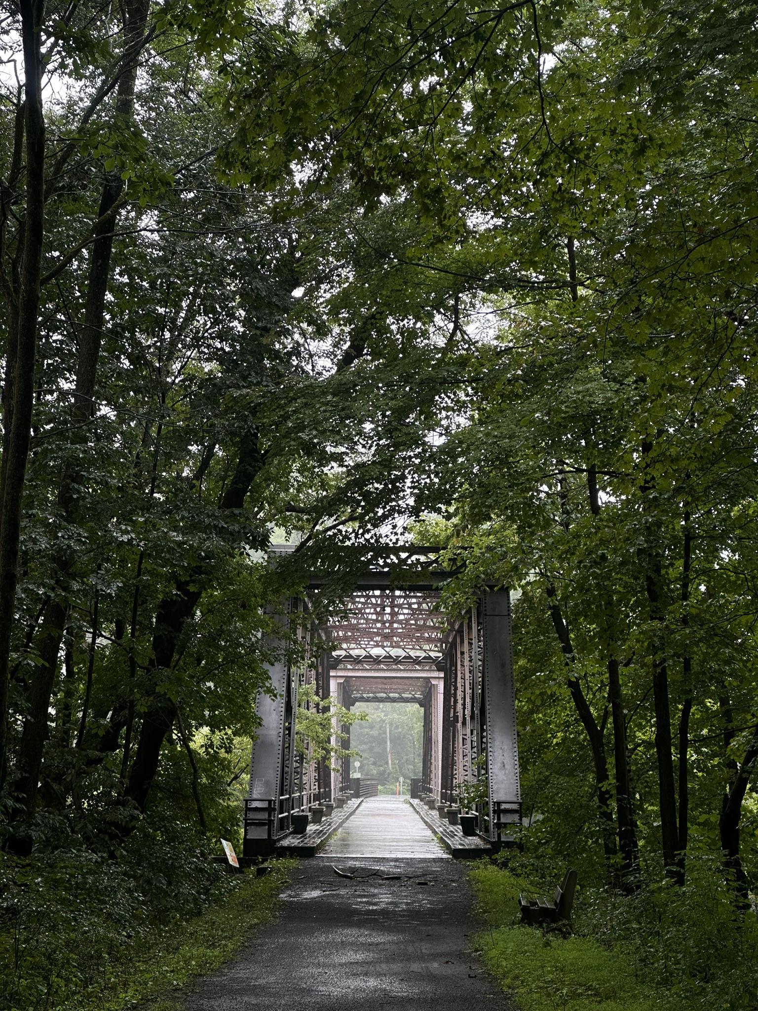 Dark, wet path leading to a metal bridge through a dense, green forest.