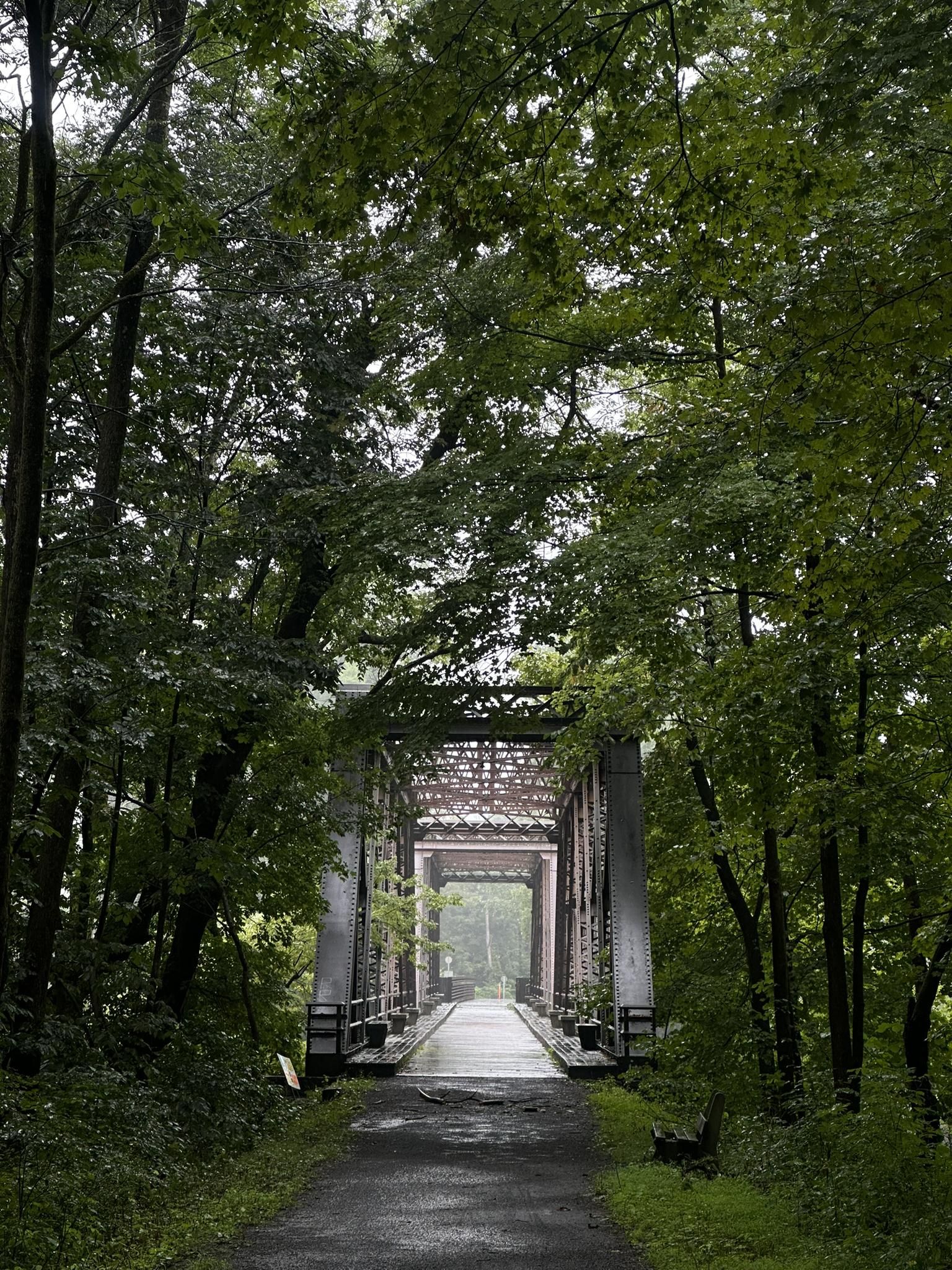 Dark, wet path leading to a metal bridge through a dense, green forest. - Wallkill Valley Rail Trail Loop