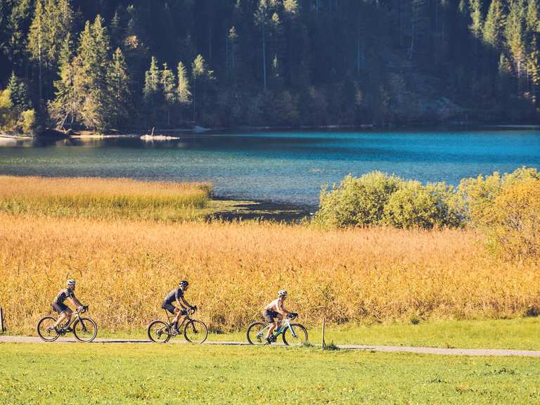 dynamics magic eight sl disc trekkingrad Tour – 24-Gang Shimano & Nabendynamo – Bici No.1 Size_Adult Variante:ohne Beschriftung Mercator Nitrylex Pink puderfreie