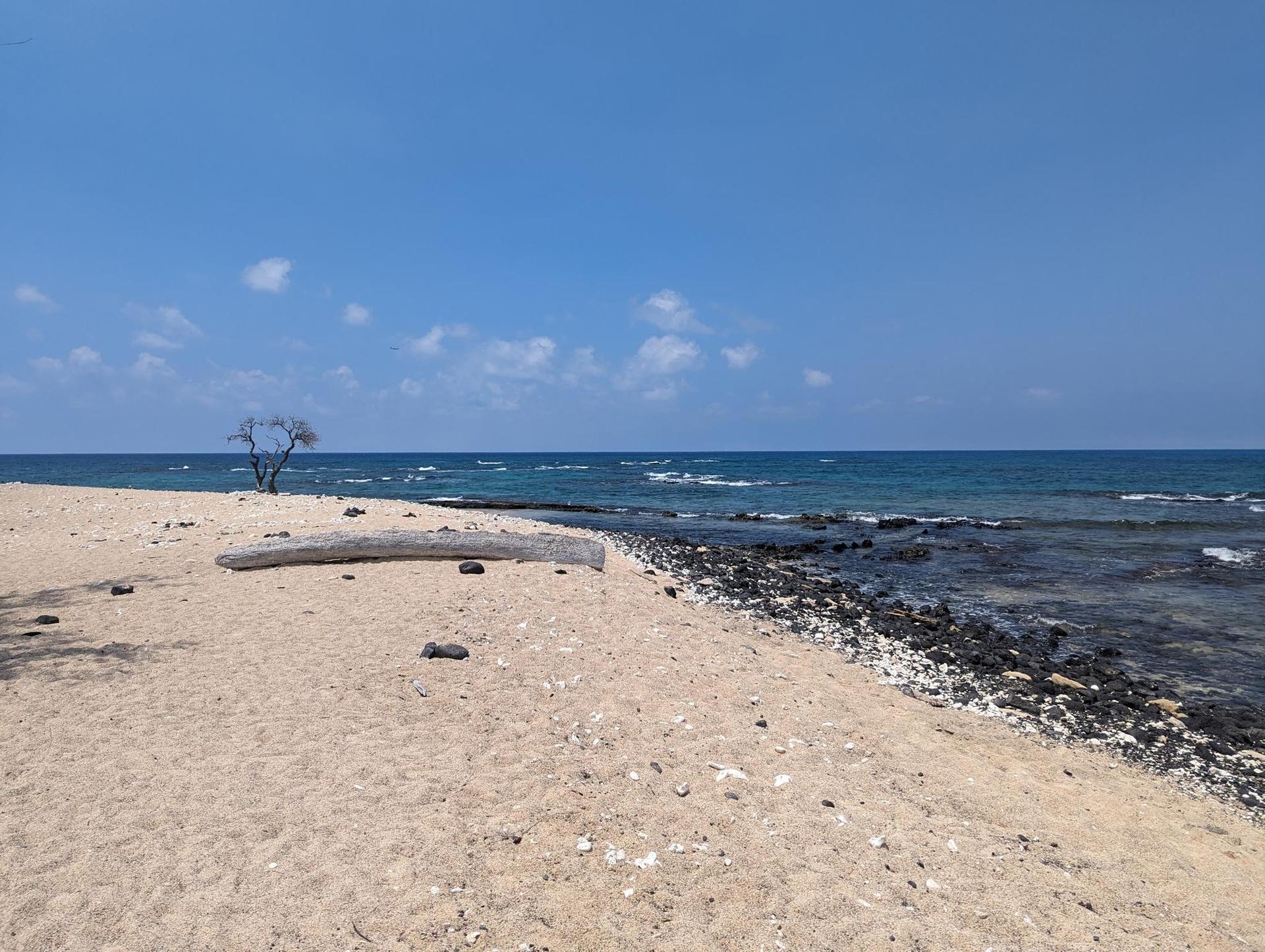 Bright sandy beach, rocky shore, blue ocean, and a solitary tree.