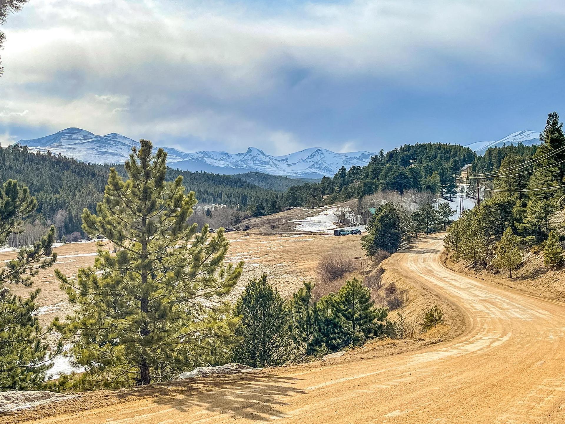 A dirt road winds through a valley with pine trees and snowy mountains.