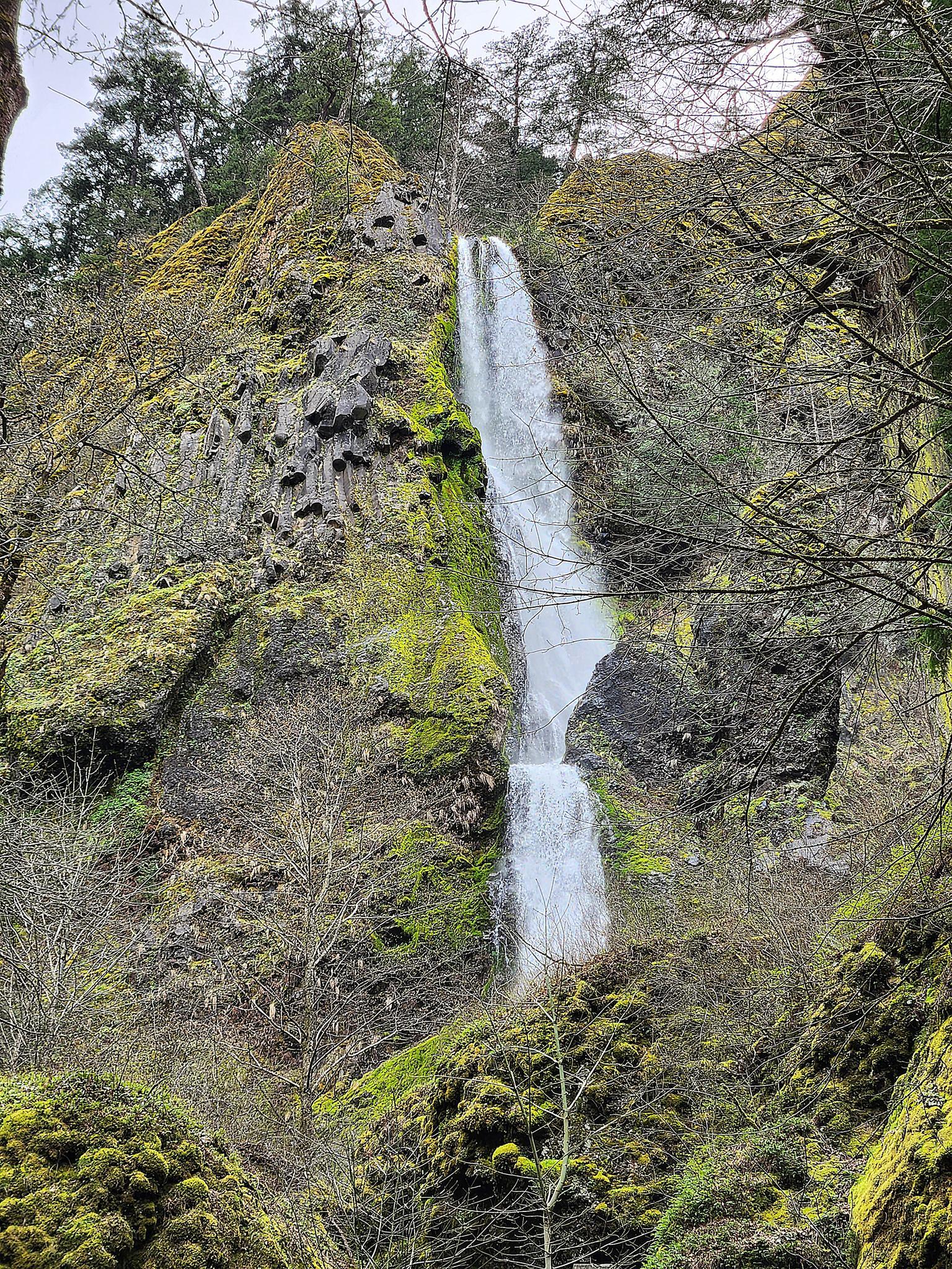 Tall waterfall cascades down a mossy, rocky cliff surrounded by trees.