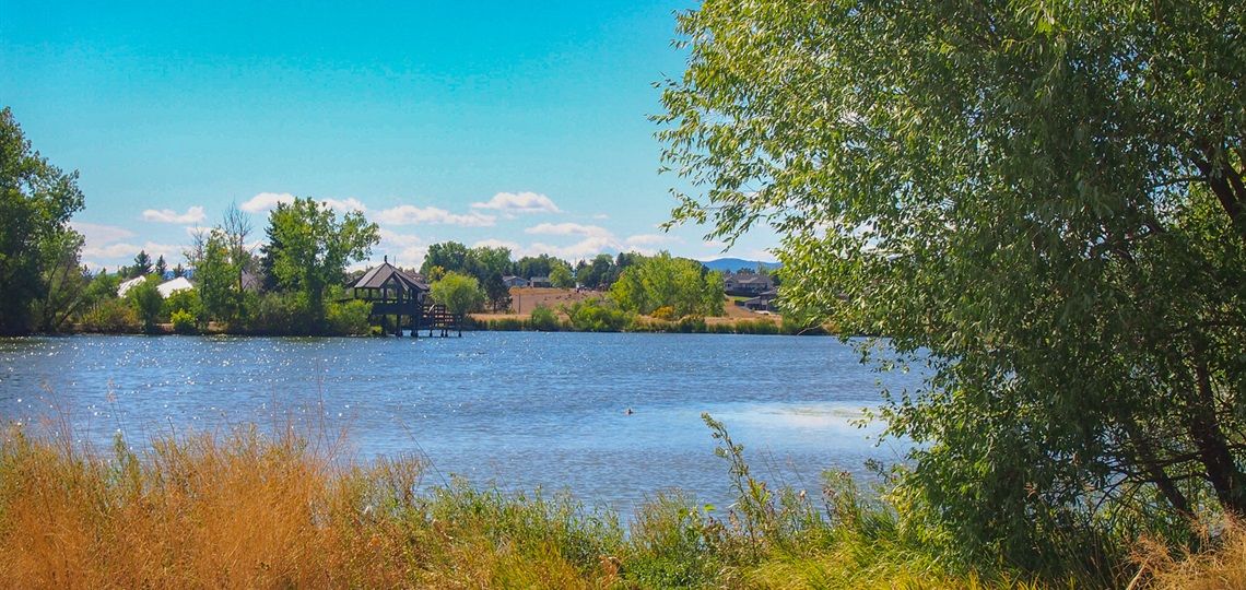 Bright daylight illuminates a calm lake with green trees and distant buildings. - Belmar Park Loop