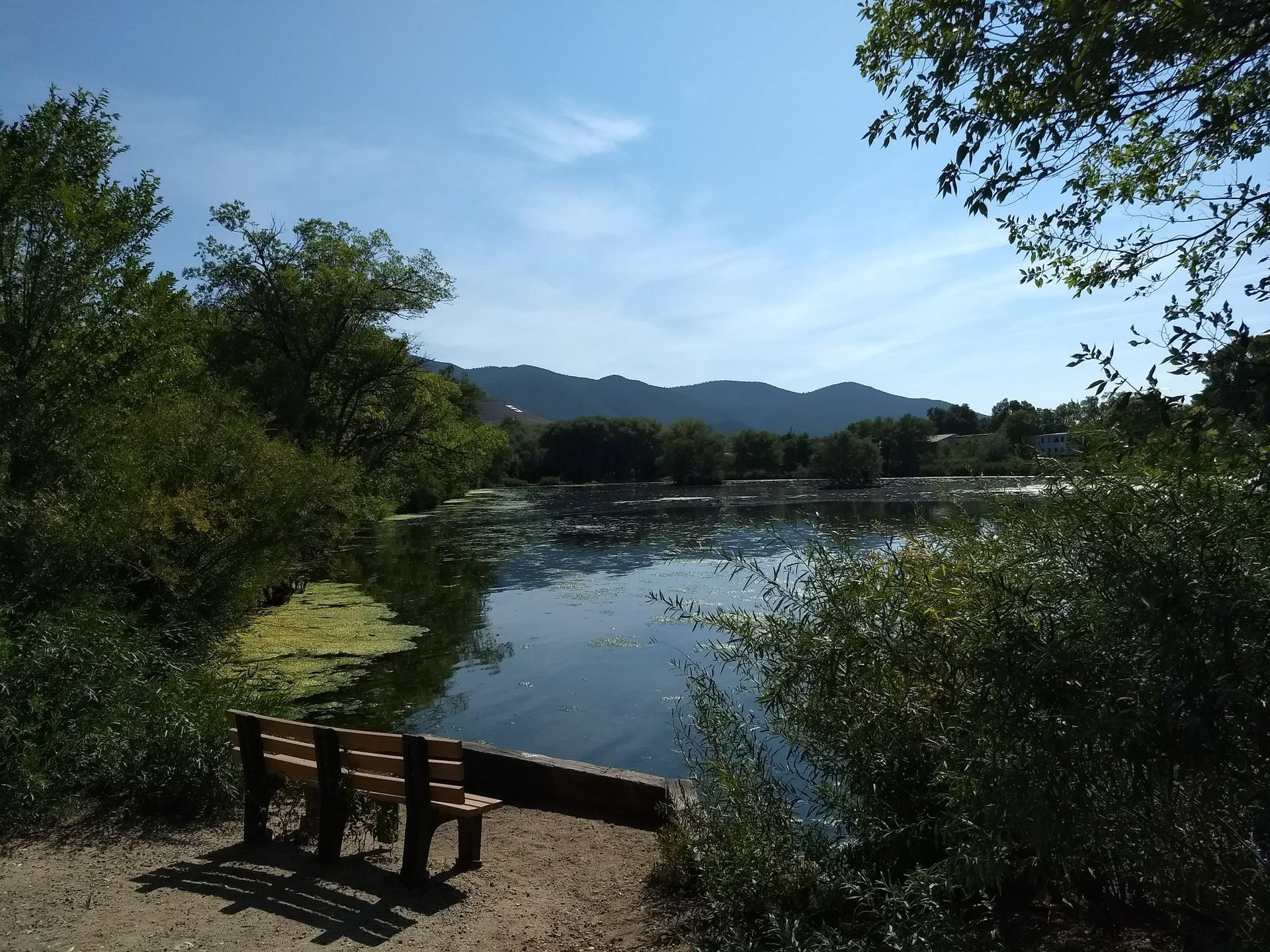 A wooden bench sits by a calm lake, surrounded by green trees, with mountains in the distance.