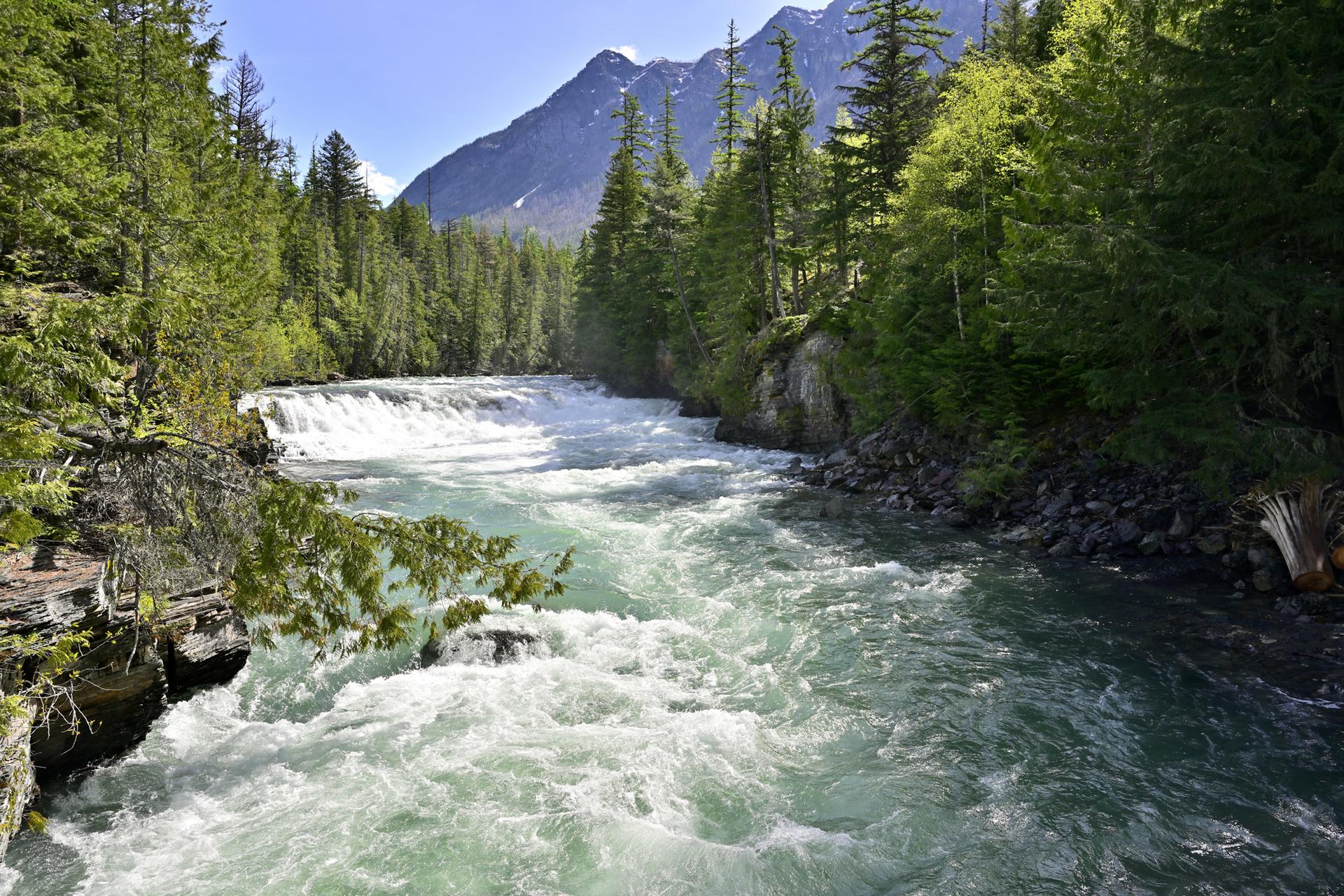 A wide, turbulent river with rapids, surrounded by green forest and mountains.
