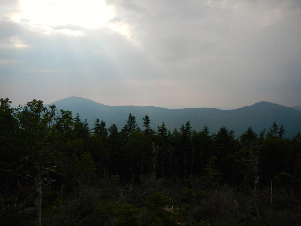 Distant mountains under a cloudy sky, seen over a dark forest.