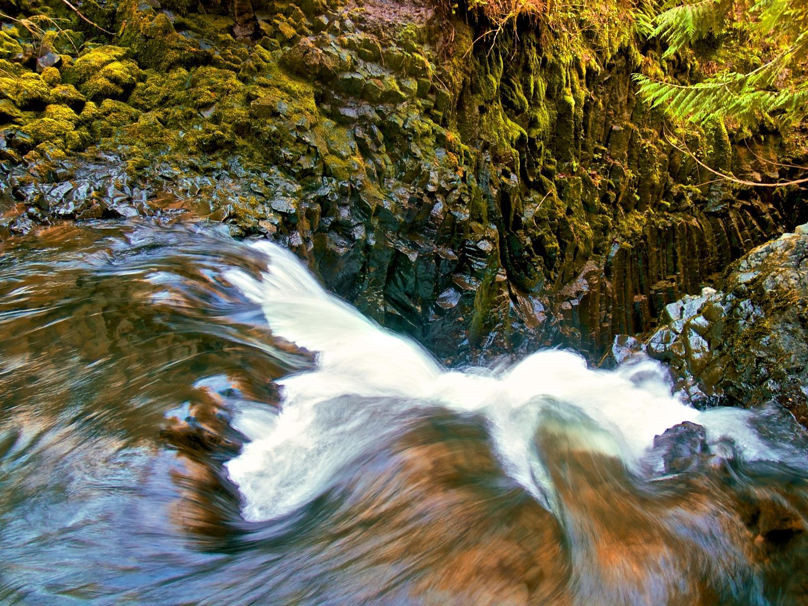Rushing stream with white rapids flowing through mossy rocks and green foliage.