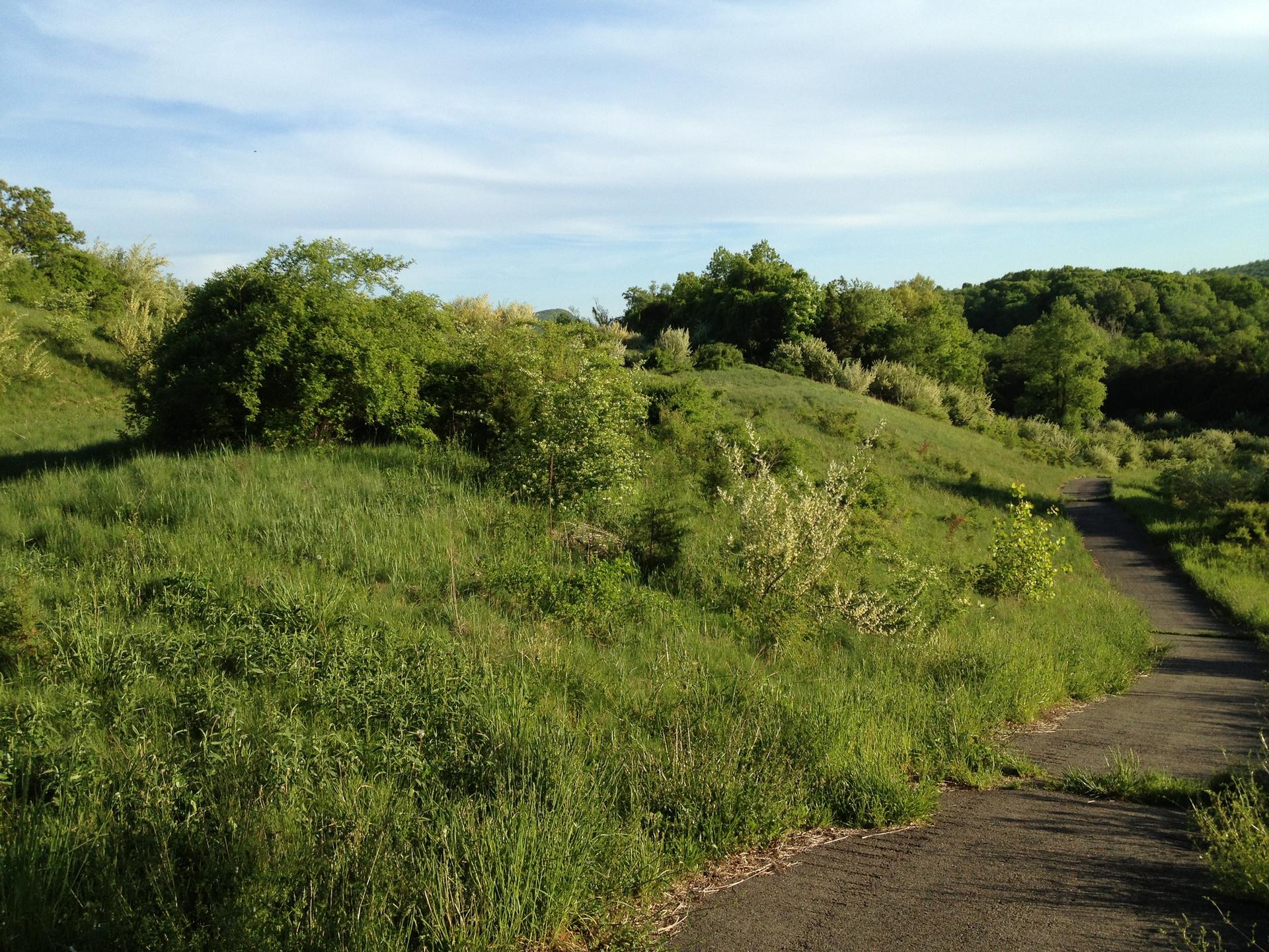 Sunny landscape with a paved path winding through green hills and trees.