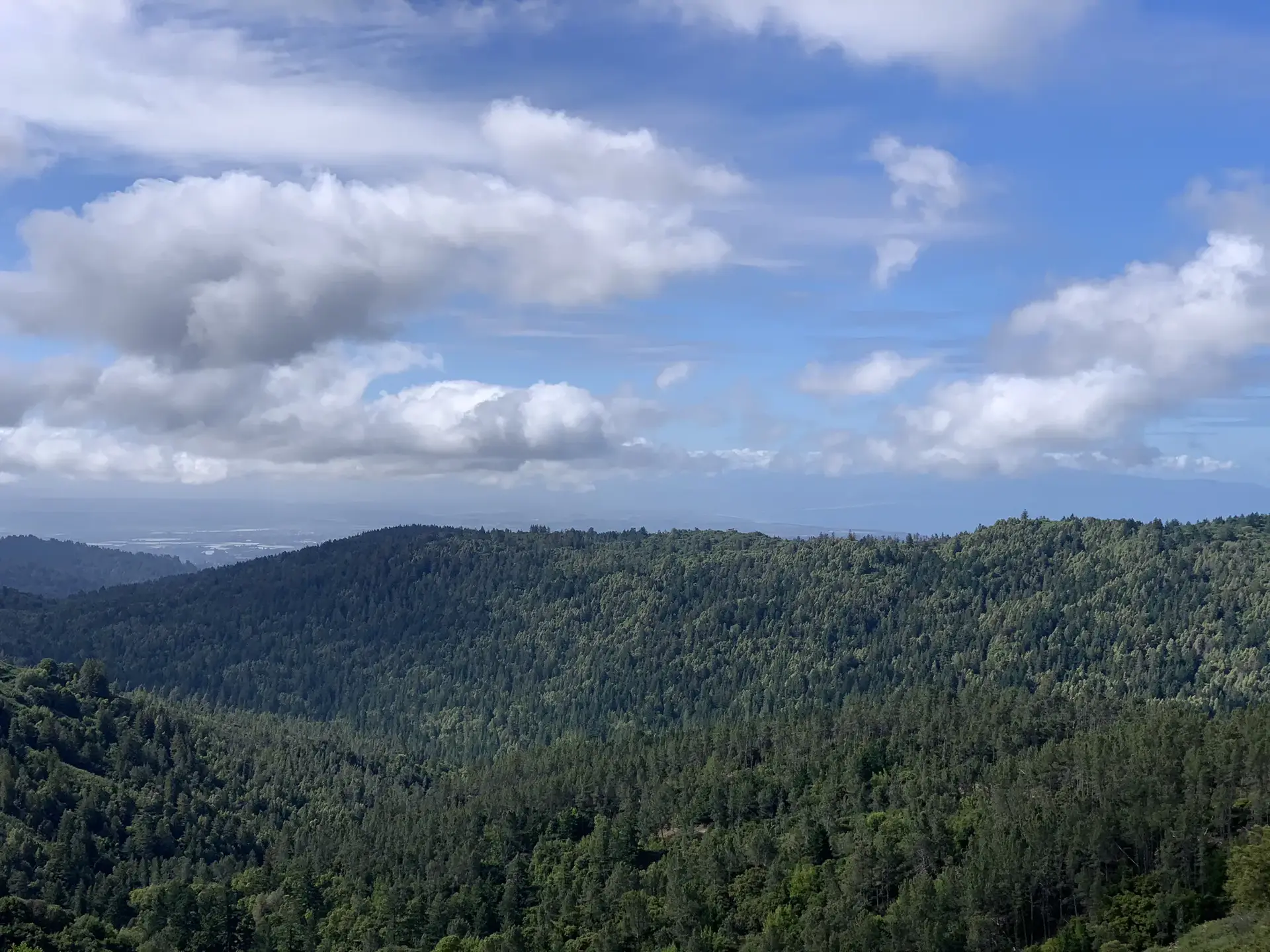 Vast forested hills under a bright blue sky with scattered white clouds.