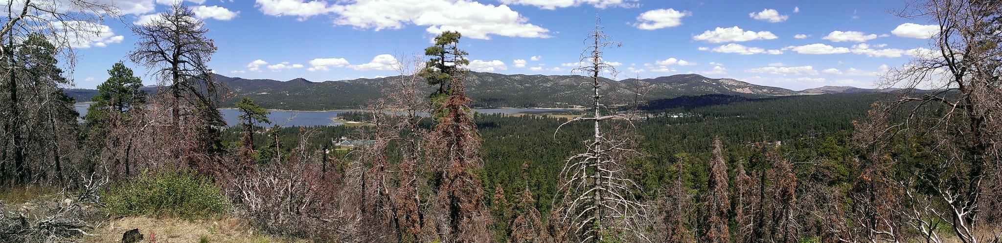 Panoramic view of a lake, forest, and mountains under a bright, cloudy sky.