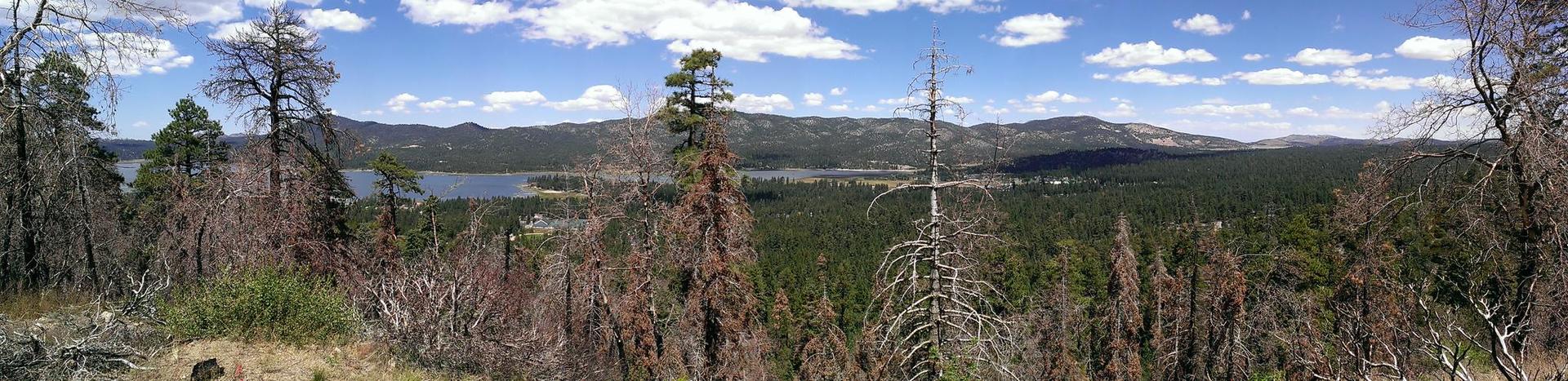 Panoramic view of a lake, forest, and mountains under a bright, cloudy sky.
