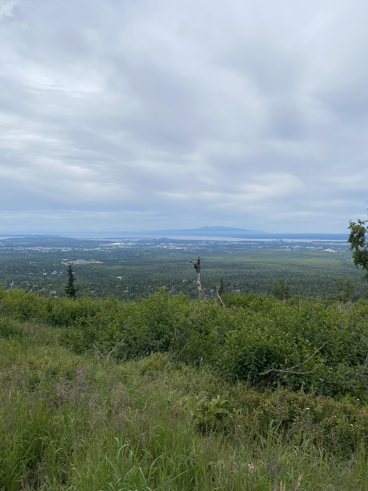 Overlook from a grassy hill showing a distant city and water under cloudy skies.