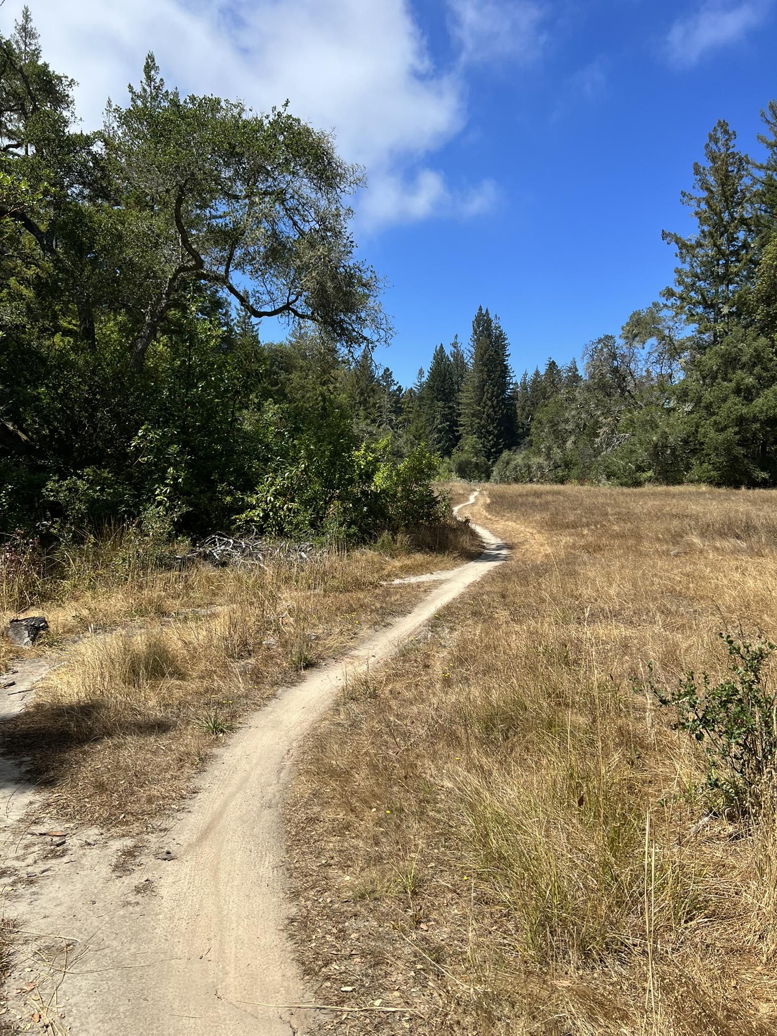 Winding dirt path through dry golden grass field under a blue sky. - Bike loop from West Marshall Field Natural Reserve