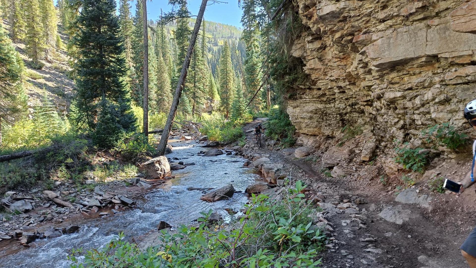 A mountain biker on a rocky trail beside a stream in a sunny forest.