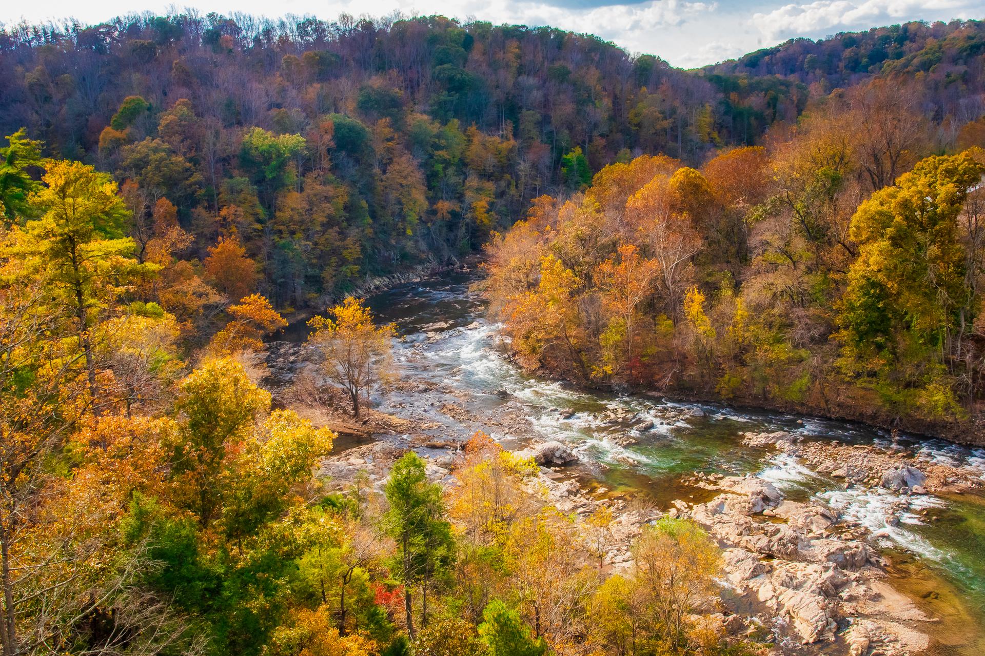 A river with rapids surrounded by colorful autumn trees under a cloudy sky.