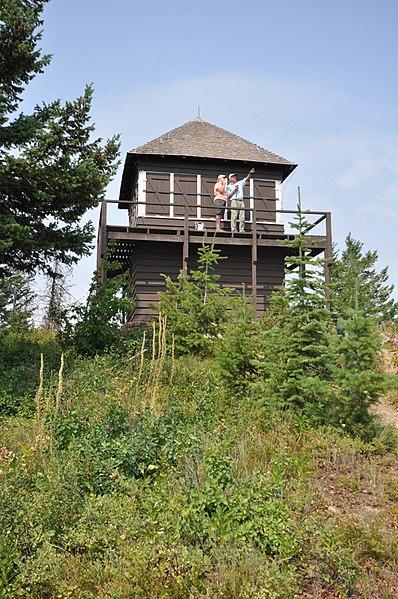 Two people stand on a wooden lookout tower balcony on a sunny day.